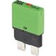 E-T-A 1610-21-30A 1610 (SAE Type III) Thermal Circuit Breaker - 30 Amp / Light Green (Pack of 1)