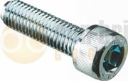 DBG M8 x 65mm Socket Capscrew - Zinc Plated Steel (Grade 12.9) - Pack of 50 - 1024.5931/50